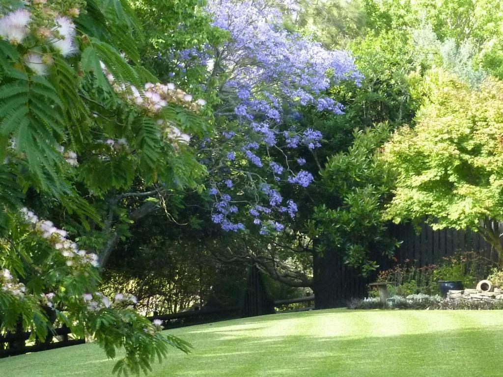 Thorold Country House Thames Extérieur photo
