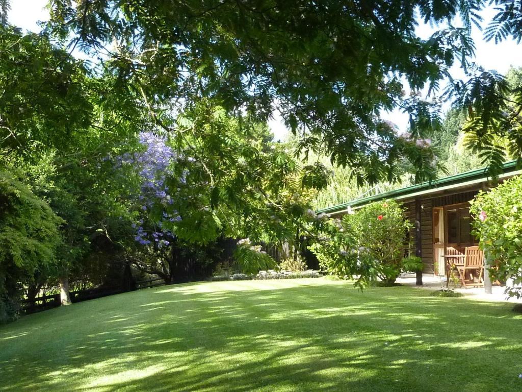 Thorold Country House Thames Extérieur photo